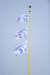 mlb_u_wrigleyflags01_400_small.jpg