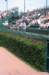 wrigley_fieldright_field_ivy_and_bleachers_small.jpg